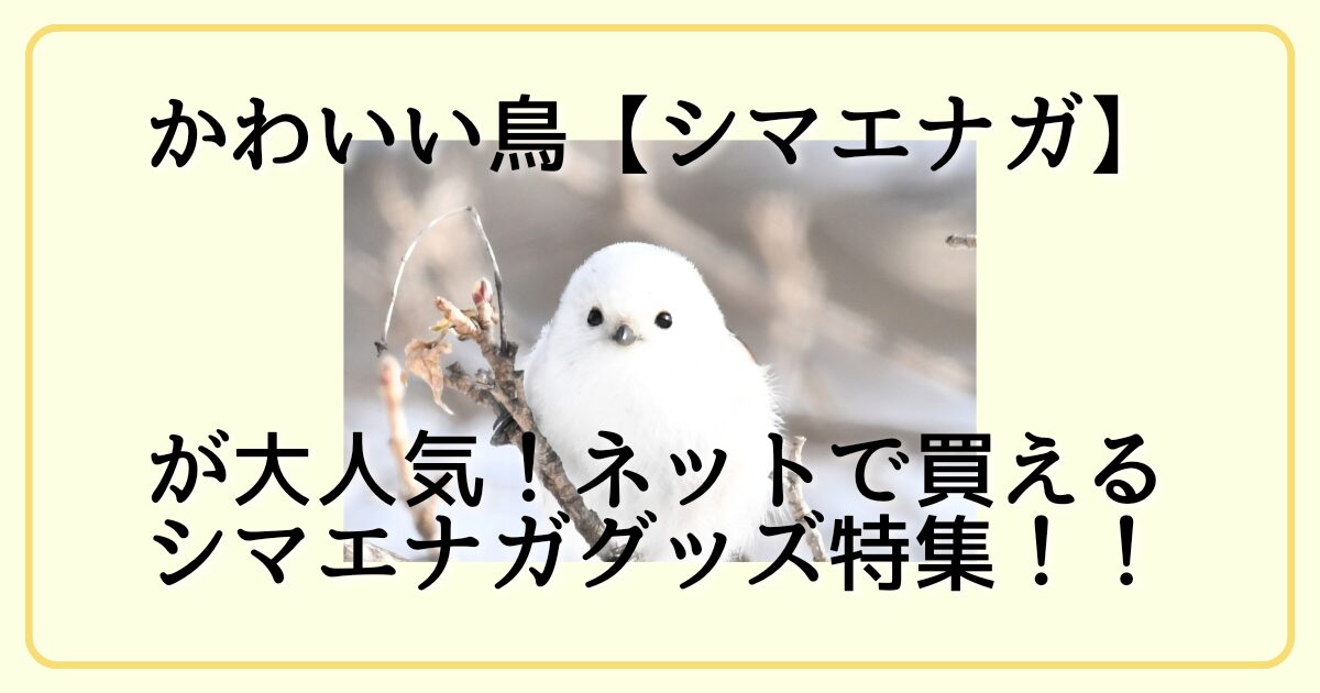 かわいい鳥【シマエナガ】が大人気！ネットで買えるシマエナガグッズ特集！